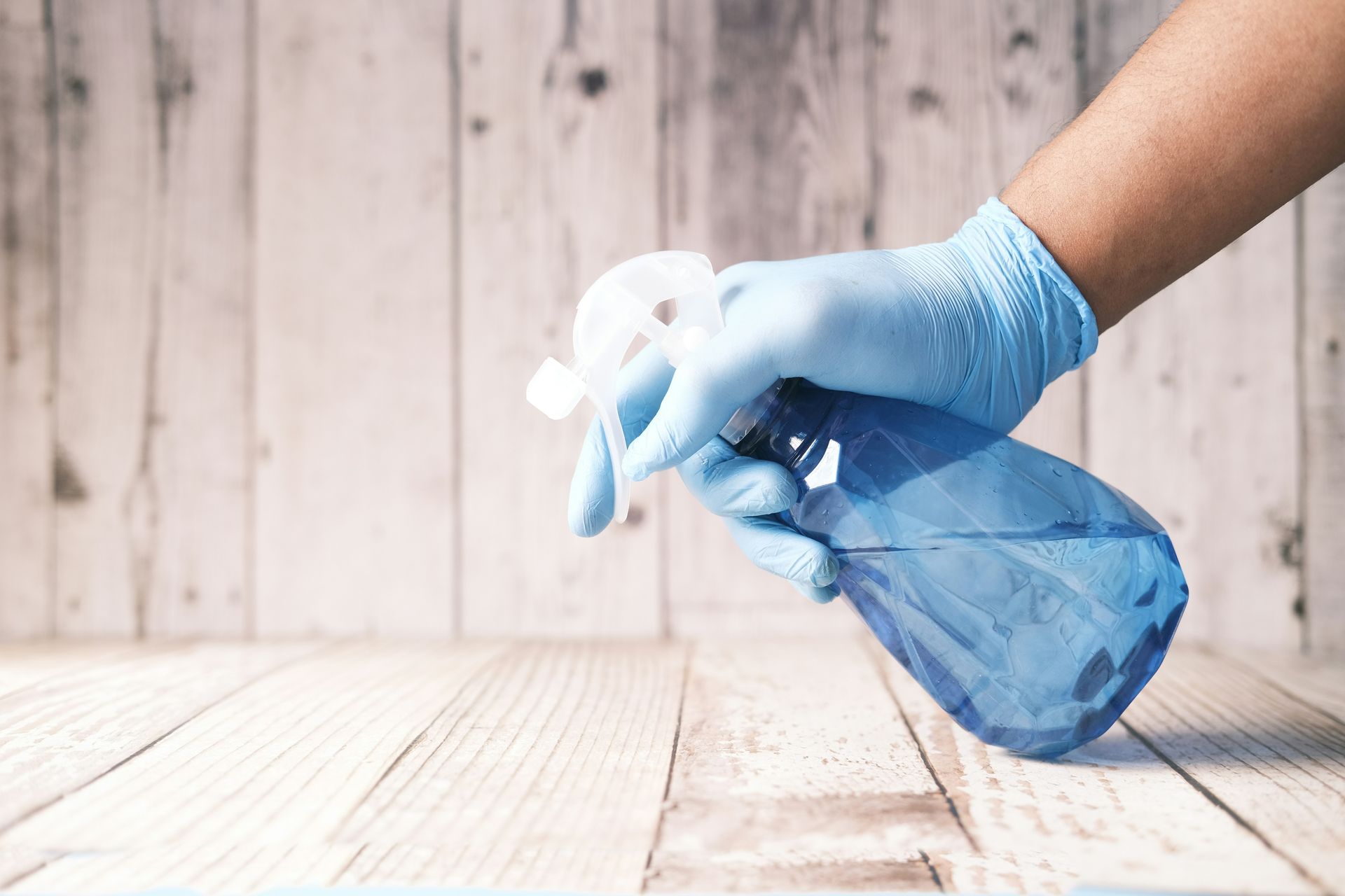 A hand in a blue latex glove holding a blue spray bottle
